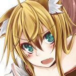 セルシス