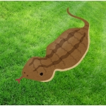 つちのこ