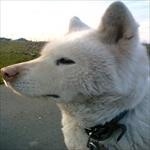 犬塚さん⛄☀☁☂⛄☀☁☂⛄☀☁☂