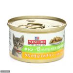 青嵐