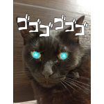 しおん