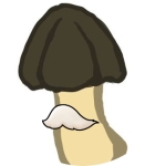けたの