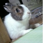 たから