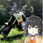せきれい
