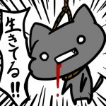 猫泉