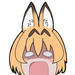 ちょび
