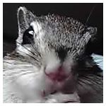 りら
