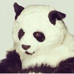 ふじむら