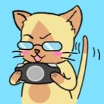 ひいす