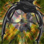 マンディブラリスフタマタクワガタ