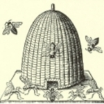 Skep(復活)