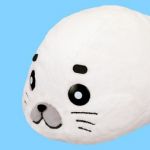 とるねーど24