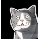 かきたまご