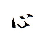 userPhoto