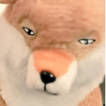 紫苑