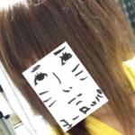 ぬぬたん。