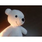 beer_bear