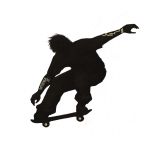 sk8shingo.exe