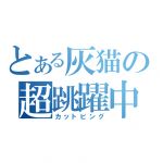 桃月灰猫