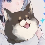 motidog