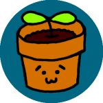 朝顔きのこ