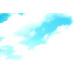 わんこ