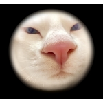 みーちゃんパイセン