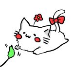 はり坊