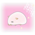 なまこ