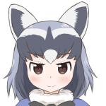 猫が好きな私