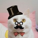 ふぇりぼう