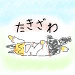 ヾ(:3ﾉｼヾ)ﾉｼ（たきざわ）