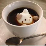 きまぐれ猫