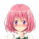 とろろん