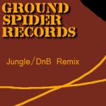 Groundspider