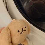 userPhoto
