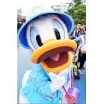ホシグモ