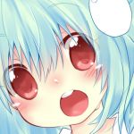 茶裏表