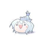木五倍子