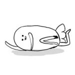 えびぽ