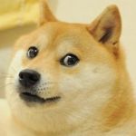 ねもかん
