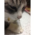 ゆう