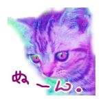 土管