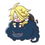あおむ