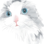 userPhoto