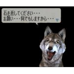 倉科