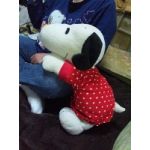 あーちゃん