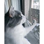 nekovoke