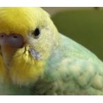 ユーザー画像