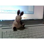 ハブラシ